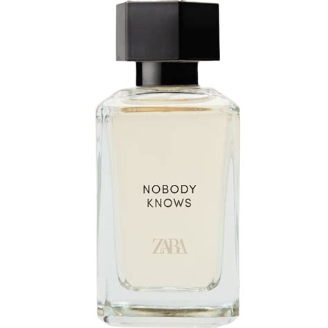 nobody knows zara perfume dupe|zara perfume dupe.